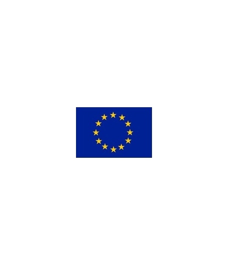 DRAPEAU EUROPE